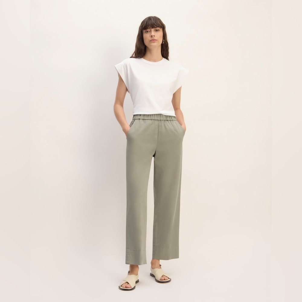 Everlane The Easy Pant in Sage Green Size XL